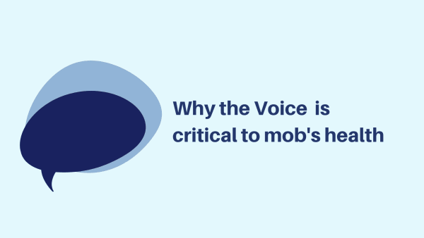 Minister for Health and Aged Care: Why the Voice is critical to mob's health