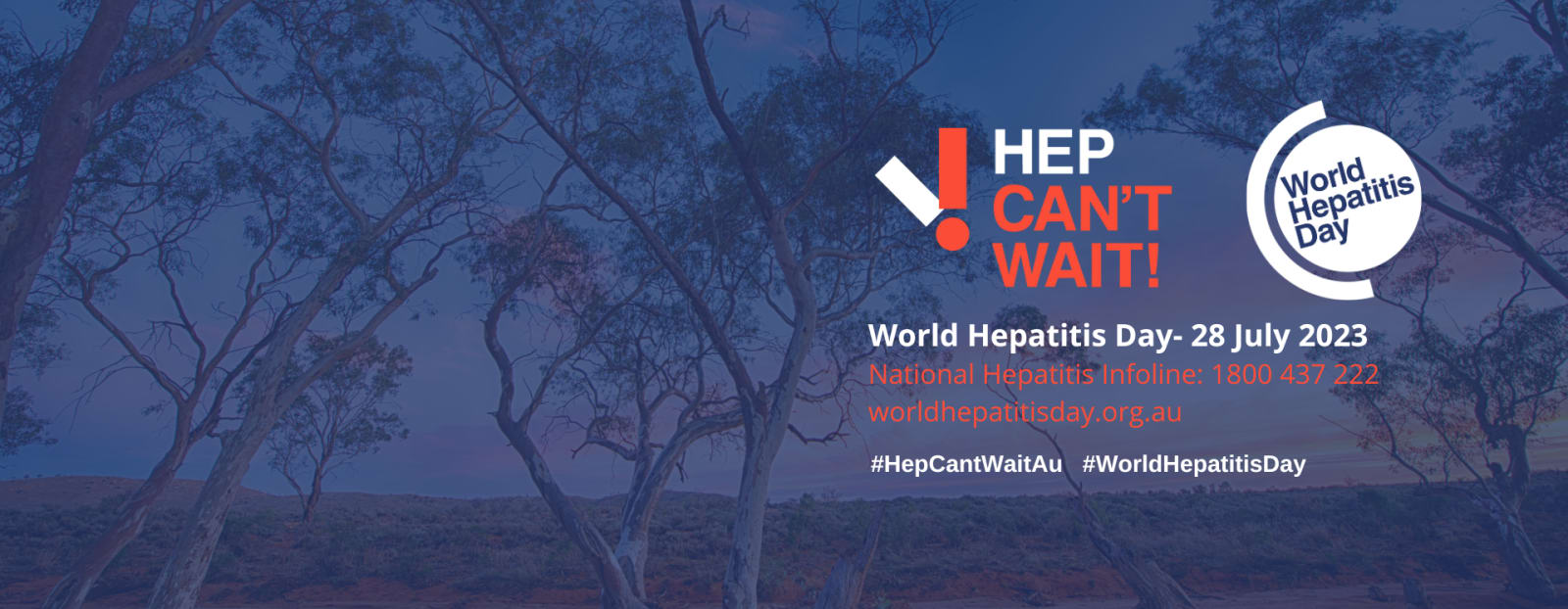 Media Release: On World Hepatitis Day Australia glows green to help find people living with viral hepatitis